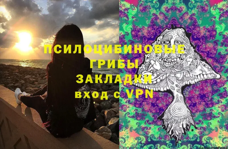 Галлюциногенные грибы Psilocybe  Сим 